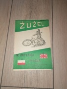 Polska - Wielka Brytania, Częstochowa 1973 ws