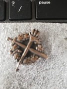 Odznaka korpusówka Służby Więziennej