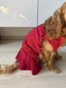 Parisian Pet ubranko - czerwona sukienka dla psa, kota