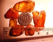 Bursztyny inkluzje mikro  6 sztuk , cena za całość, wymarłe 40 mln lat. 