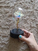 Wieczna róża przeźroczysta