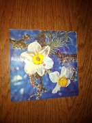 Pocztówka dźwiękowa I remember Elvis Presley śpiewa D. Mirror 1978 Winyl