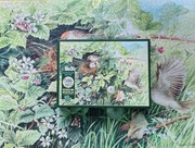 Puzzle 1000 - Cobble Hill 1000-Hidden Nest-Majrolein Bastin