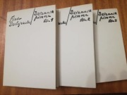 Fiodor Dostojewski * Dziennik pisarza (tom 1, 2, 3)