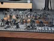 28 Figurek do Wiedźmina lub do DND -zamienniki-