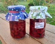 WIŚNIE WE WŁASNYM SOKU (320 g; 7,5% cukru) - W NASZEJ SPIŻARNI