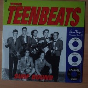 THE TENBEATS: SURF BOUND 1LP/NOWA/