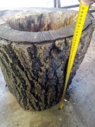 Orzech włoski pień epoksyd 