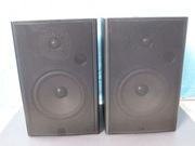 Kolumny CANTON TEMA 300 - rzadkość. 