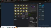Nóż Bowie (StatTrak) | Rzeź oraz AK-47