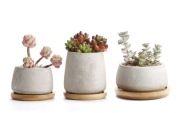 3 x doniczki pojemniki na sukulenty kaktusy beton podstawka bambus 