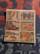 Naklejki wodne ptaki