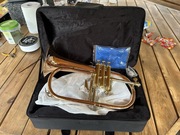 Skrzydłówka flugelhorn instrument mael music