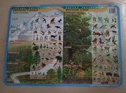 podkładka edukacyjna laminowana polska przyroda