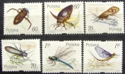 Fi 3632 -37** Owady wodne