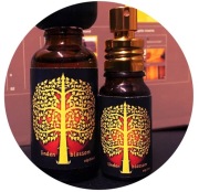 KWIAT LIPY Independents Warszawa EDP 10ml