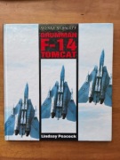 Grumman F-14 Tomcat - Lindasy Peacock