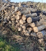 Drewno opałowe z drzew owocowych