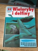 Ksiązka wieloryby i delfint