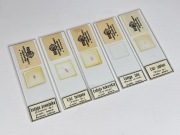 Preparaty mikroskopowe czasów PRL Unikat