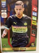 FIFA 365 2025 Karta 228