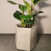 Betonowa osłonka doniczka heksagonalna 8 cm LOFT