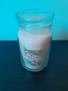 Yankee Candle Desert Blooms 567g