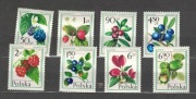 04-Fil07-Flora-Owoce leśne,8szt,czyste