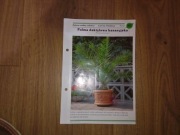 Gazetka Informator Ulotka 183 Palma daktylowa zielone rośliny ozdobne