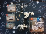 Lego zestaw 21320 dinozaury