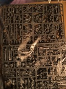 Warhammer 40000 Grey Knights Strike/Purifier/Purgation Squad