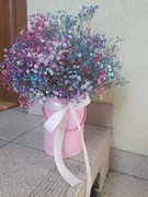 Flover box z zywej gipsowki