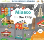 Miasto in the city ting książka 
