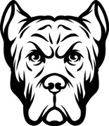 naklejki na ściane, meble,auto