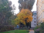 Do wynajęcia kawalerka 37 m kw.  Saska Kępa Ul. Międzynarodowa 45