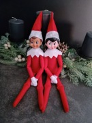 Psotny Elf chłopiec i dziewczynka