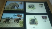 WWF, SŁOŃ SŁONIE, FAUNA, ZWIERZĘTA