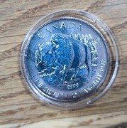 SREBRNA MONETA AMERYKAŃSKI BIZON 2013