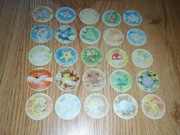 Pokemon Tazo seria 1