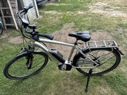 Rower elektryczny Carver Cityzen 1030