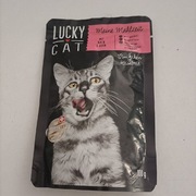 Saszetka dla kota 100 g. Z łososiem 