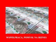 Wspólnika inwestora sprzedaż produkcja mam zasoby 