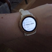 Garmin fenix 6s smartwatch biały kobiecy