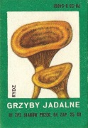 Etykiety zapałczane-Grzyby jadalne-RYDZ-Sianów