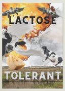Plakat lactose tolerant krowa ser mleko ogień samolot
