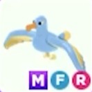 MFR Diamond Albatross "Adopt me" roblox 