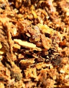 Propolis, kit pszczeli - 100g.