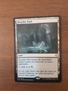 Morphic Pool Magic The Gathering