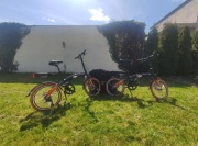 rower holenderski Shinga XX-6