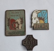 ODZNAKI - ZUCH - RUCH ŚWIATŁO ŻYCIE